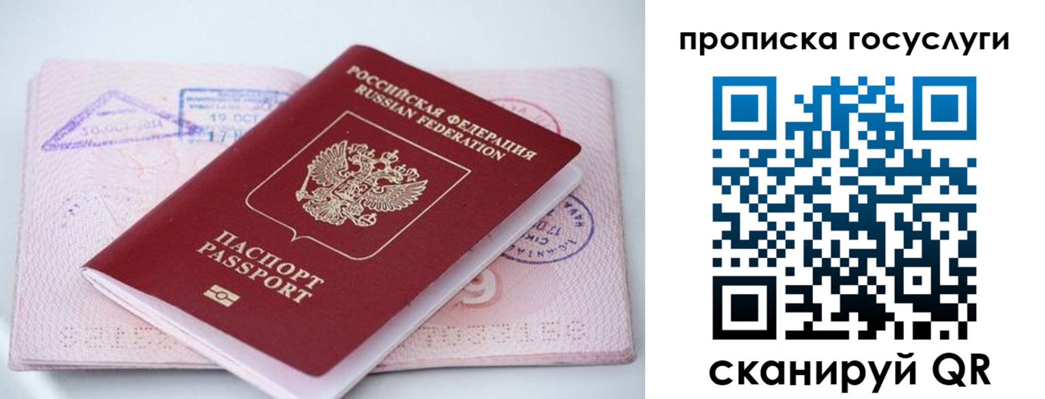 прописка законно в Заполярном